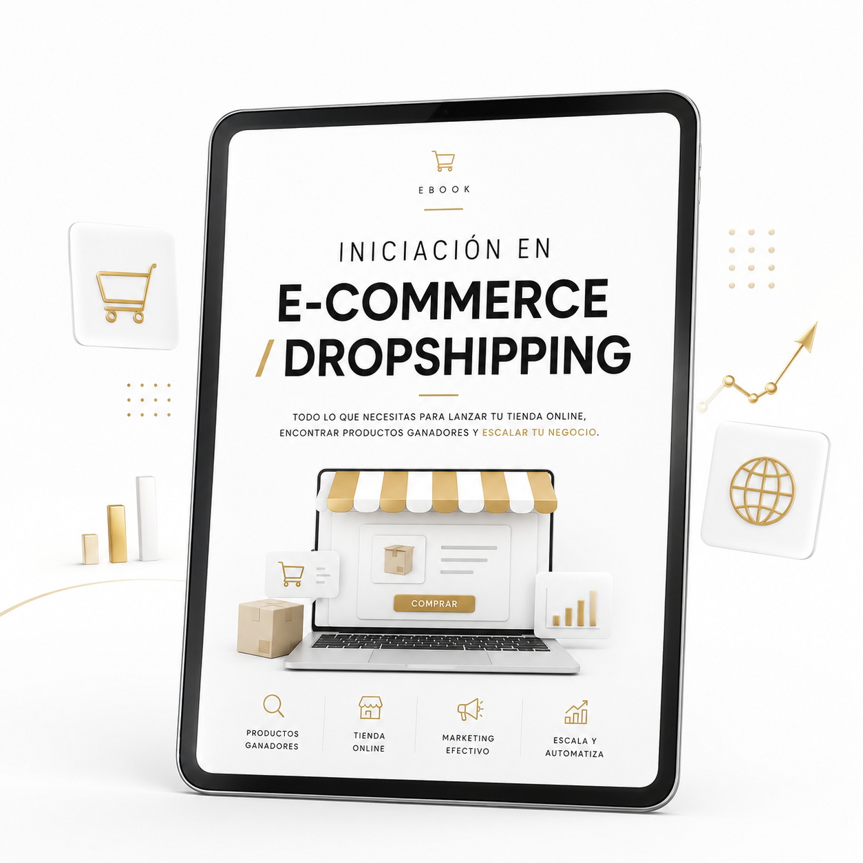 Ebook